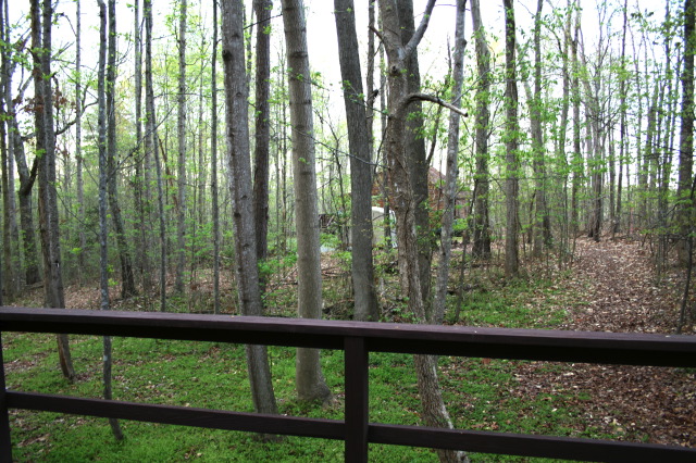img_0039a.jpg
