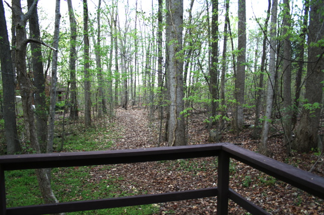 img_0040a.jpg