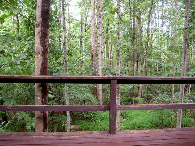 p9080028_4.jpg
