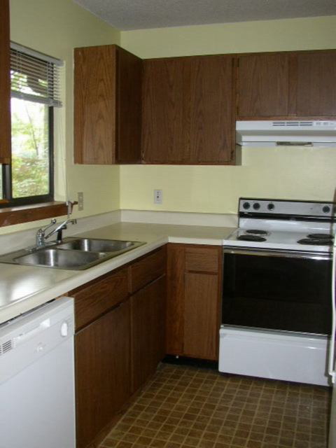 p9080038_1.jpg
