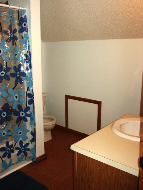 pict1008a.jpg