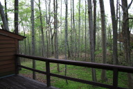 img_0038a.jpg
