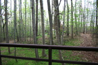 img_0039a.jpg