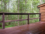 P9080025_4.jpg