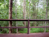 P9080028_4.jpg