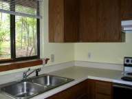 P9080037_1.jpg